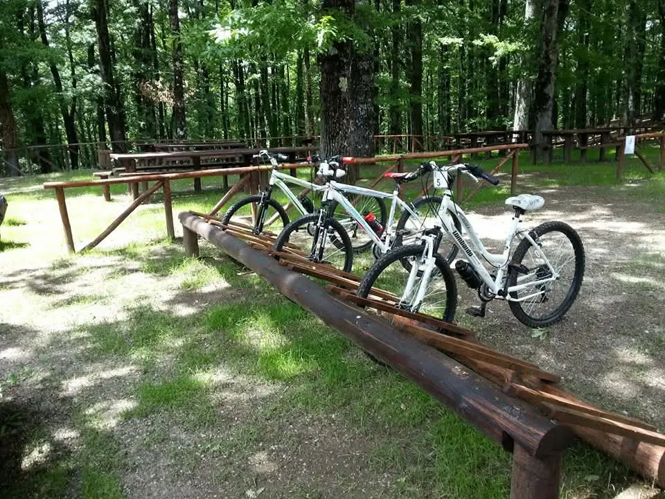 Foresta Cerreta Cognole
